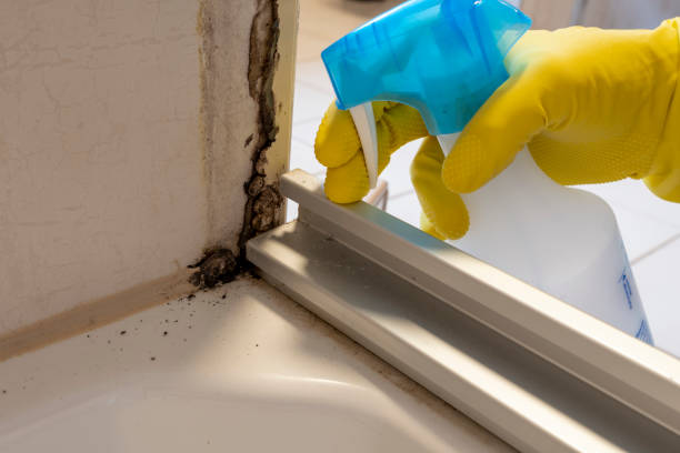Best Residential Mold Removal  in Anaconda, MT